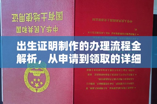 仁和出生证明制作的办理流程全解析，从申请到领取的详细指南