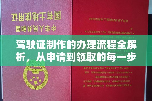 仁和驾驶证制作的办理流程全解析，从申请到领取的每一步