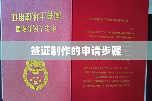 仁和签证制作的申请步骤