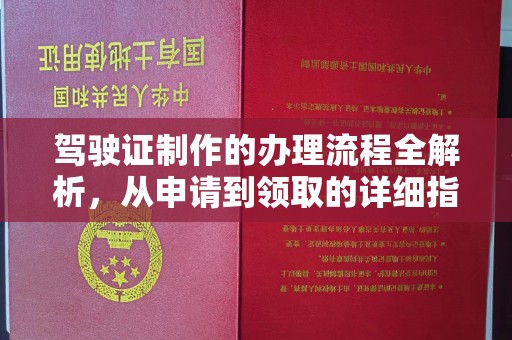 仁和驾驶证制作的办理流程全解析，从申请到领取的详细指南