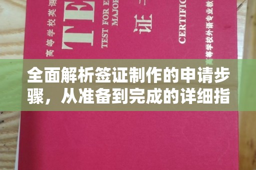 仁和全面解析签证制作的申请步骤，从准备到完成的详细指南