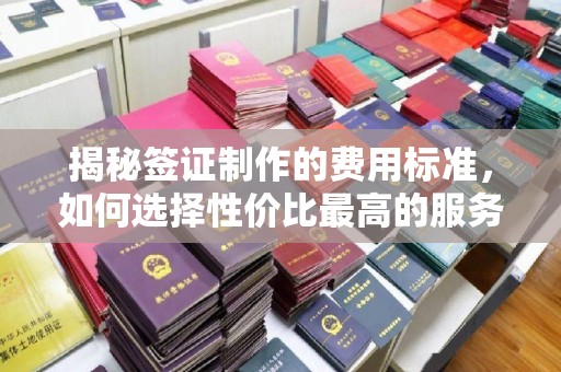 仁和揭秘签证制作的费用标准，如何选择性价比最高的服务？