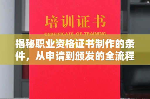 仁和揭秘职业资格证书制作的条件，从申请到颁发的全流程解析