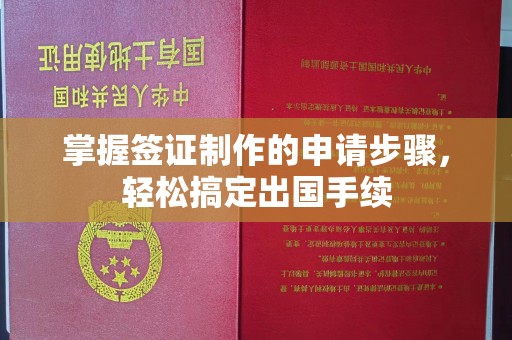 仁和掌握签证制作的申请步骤，轻松搞定出国手续