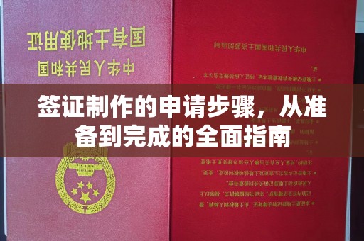 仁和签证制作的申请步骤，从准备到完成的全面指南