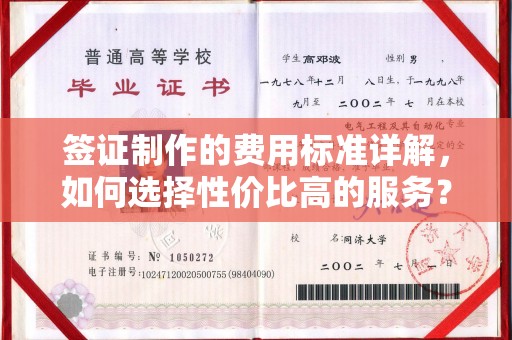 仁和签证制作的费用标准详解，如何选择性价比高的服务？