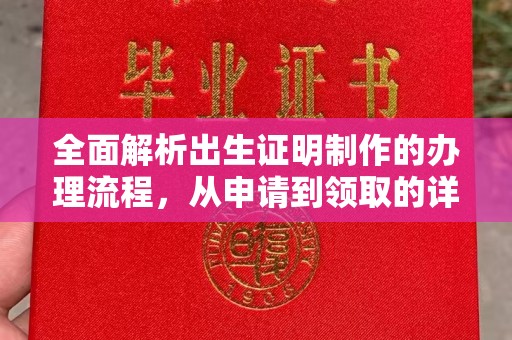 仁和全面解析出生证明制作的办理流程，从申请到领取的详细指南